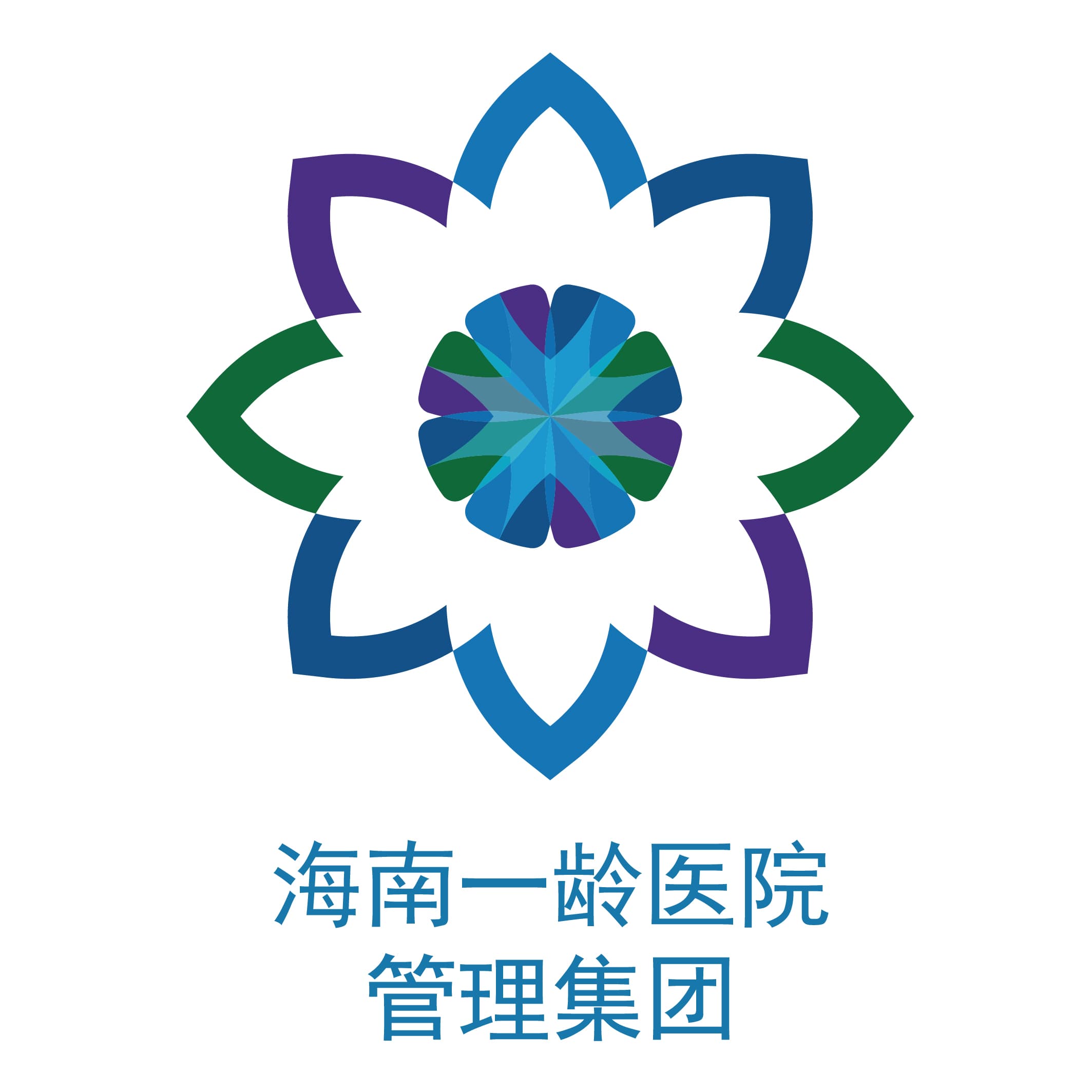 海南一龄医院管理集团